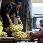 Над 17 процента са поскъпнали храните на едро в България от началото на годината