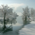Предстоящи събития в страната за днес, 11 февруари