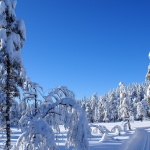 Туристическият бранш посреща Нова година с премерен оптимизъм