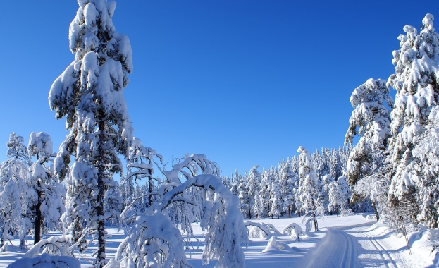 Предстоящи събития в страната за утре, 18 декември