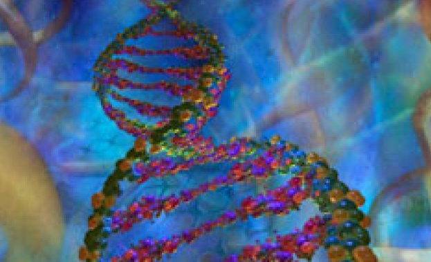 Разрешените Е-та в храните увреждат ДНК-то ни