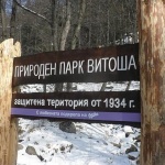 Столичната община увеличава автобусите до Витоша