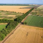 Кой ще купи българските ниви?