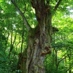 Всяко дълго пътуване...