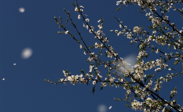 Предстоящи събития в страната за утре, 17 април