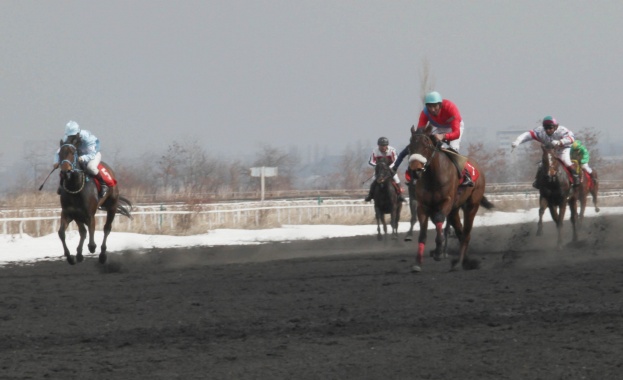 Кон е прегазил зрителка от публиката на кушиите на Тодоровден