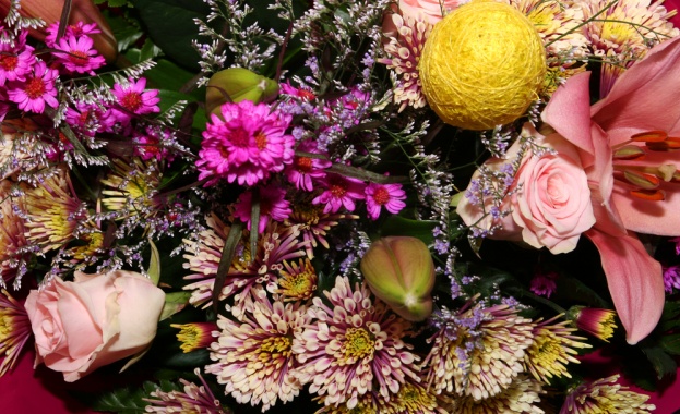 Рождениците днес 