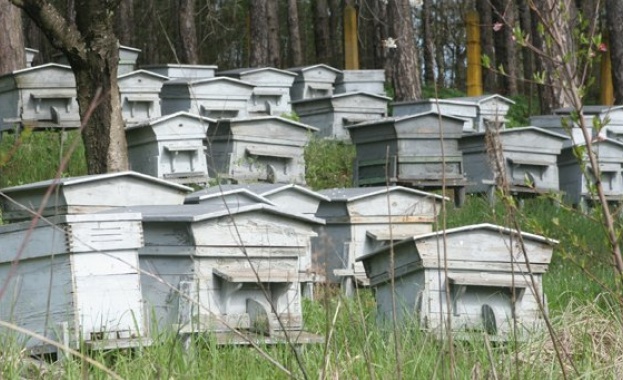 Денят е обявен през 2017 г с цел да се