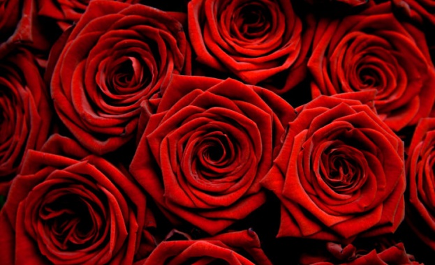 Рожденниците днес