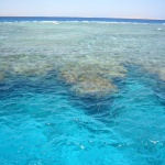 Туристически кораб потъна в Червено море