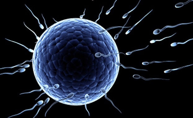 Откриха нов метод за мъжка контрацепция и лечение на стерилитет