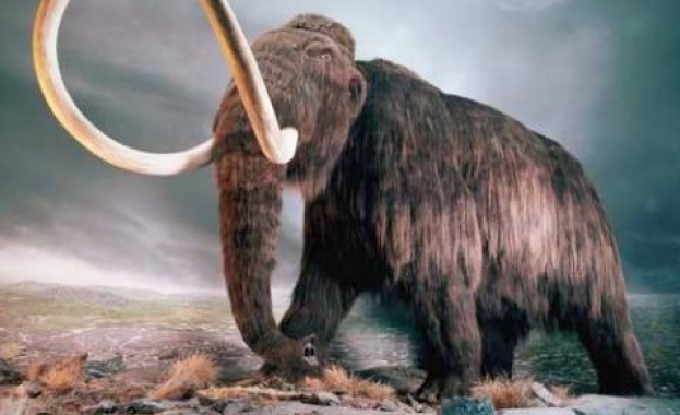 Мамутите са измрели от глад