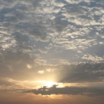 Предстоящо в страната