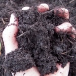 Днес е Световният ден на почвата 