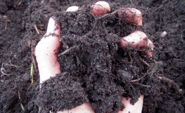 Днес е Световният ден на почвата 