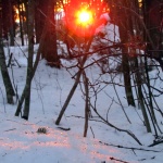 Предстоящи събития