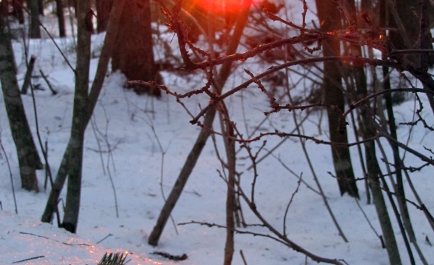 Предстоящи събития