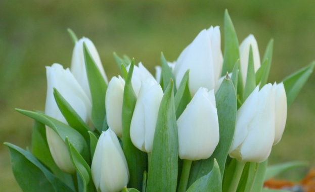 Рождениците днес 