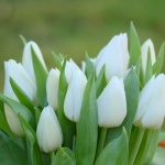 Рождениците днес 