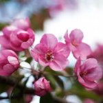 Предстоящи събития в страната за днес, 27 април