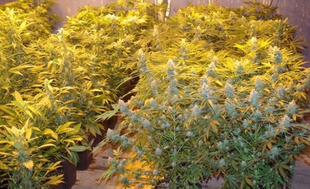 Разбиха нарколаборатория при спецакция на полицията и прокуратурата в Горна