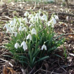 Предстоящи събития 