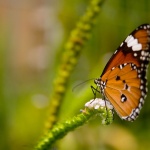 Предстоящи събития в страната за утре, 17 май