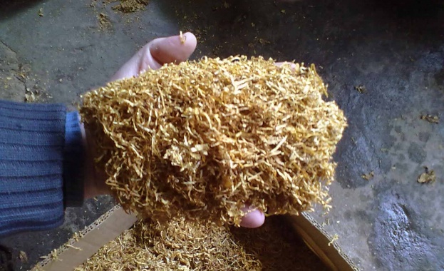 Тютюнопроизводители от Каолиновско на протест срещу ниската изкупна цена