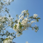 Предстоящи събития на 19 април 2018