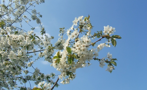 Предстоящи събития на 19 април 2018