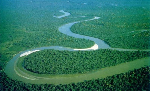 Изследване: Дърветата в Амазония увеличават размера си заради повишаващите се нива на въглероден диоксид