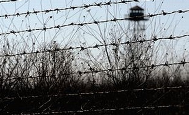 Унгарски политик: Да сложим свински глави по границите, това ще спира мигрантите  