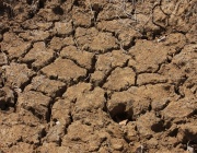 Засушаването: от климатичен до здравен проблем