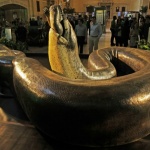 Кобра попречи на мъж да изтегли пари от банкомат (видео)