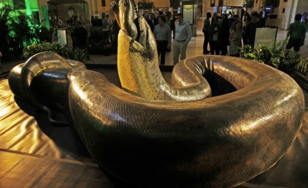 Кобра попречи на мъж да изтегли пари от банкомат (видео)