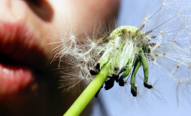 Човек притежава точно толкова свобода колкото има интелигентността да изисква