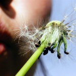 Човек притежава точно толкова свобода, колкото...