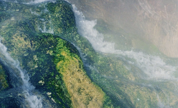 Страната ни е единствената държава в Европейския съюз която не