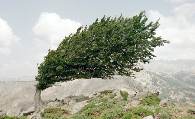 Лоши са условията за туризъм в планините