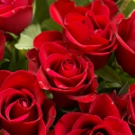 Руски пътни полицаи раздаваха на жените рози вместо глоби 