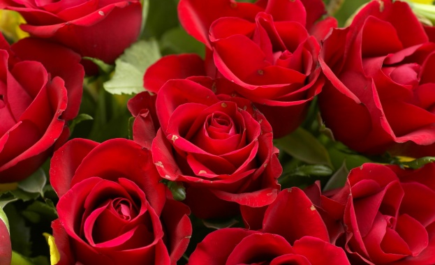 Рождениците днес 