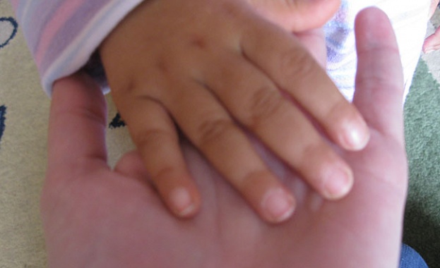 Събраха 11 500 лв. за децата на загинали и ранени полицаи и военни