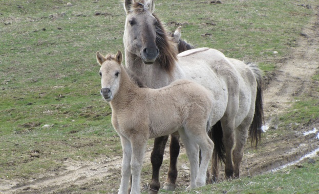 Тодоровден е