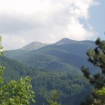 Най-висшето доверие...