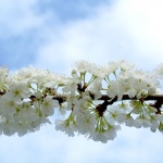 Предстоящи събития на 2 април 2018