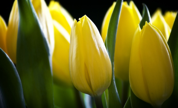 Предстоящи събития в страната на 6 май 2022 г.