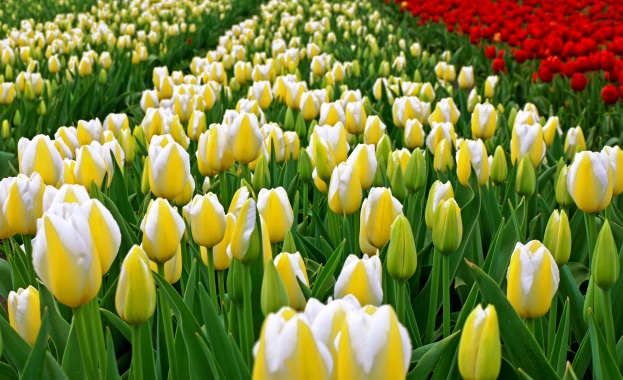  Предстоящи събития в страната на 13 април 2022 г.