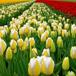  Предстоящи събития в страната на 13 април 2022 г.