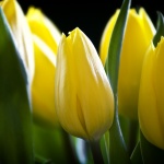 Предстоящи събития в страната на 6 май 2022 г.