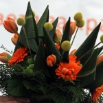 Рождениците днес 